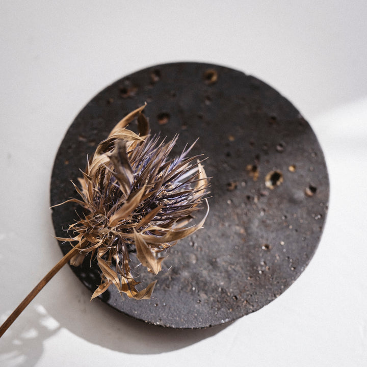 Dietlind Wolf Traces Teller Steinzeug schwarz Distel | haptik.de