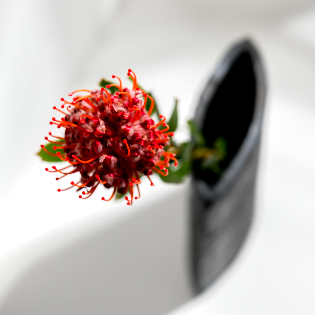 Gundula Sommerer, Raku Vase, oval | schwarz (GS192)