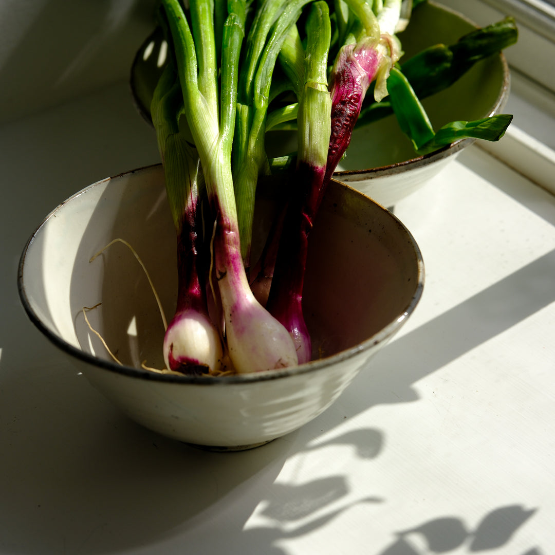 Marco Minetti, Korean Sabal, serving bowl, white | feldspar glaze (MM10)