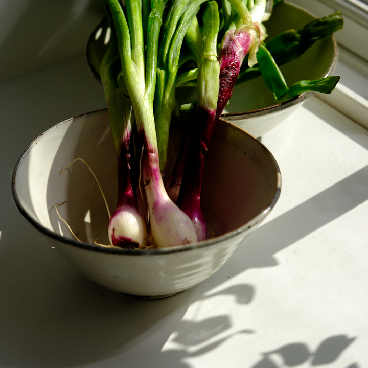 Marco Minetti, Korean Sabal, serving bowl, white | feldspar glaze (MM10)
