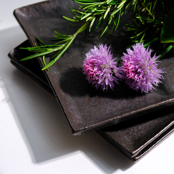 Wakahiko Ishikawa, Platte, japanische Keramik aus Mashiko, schwarz (WI02)
