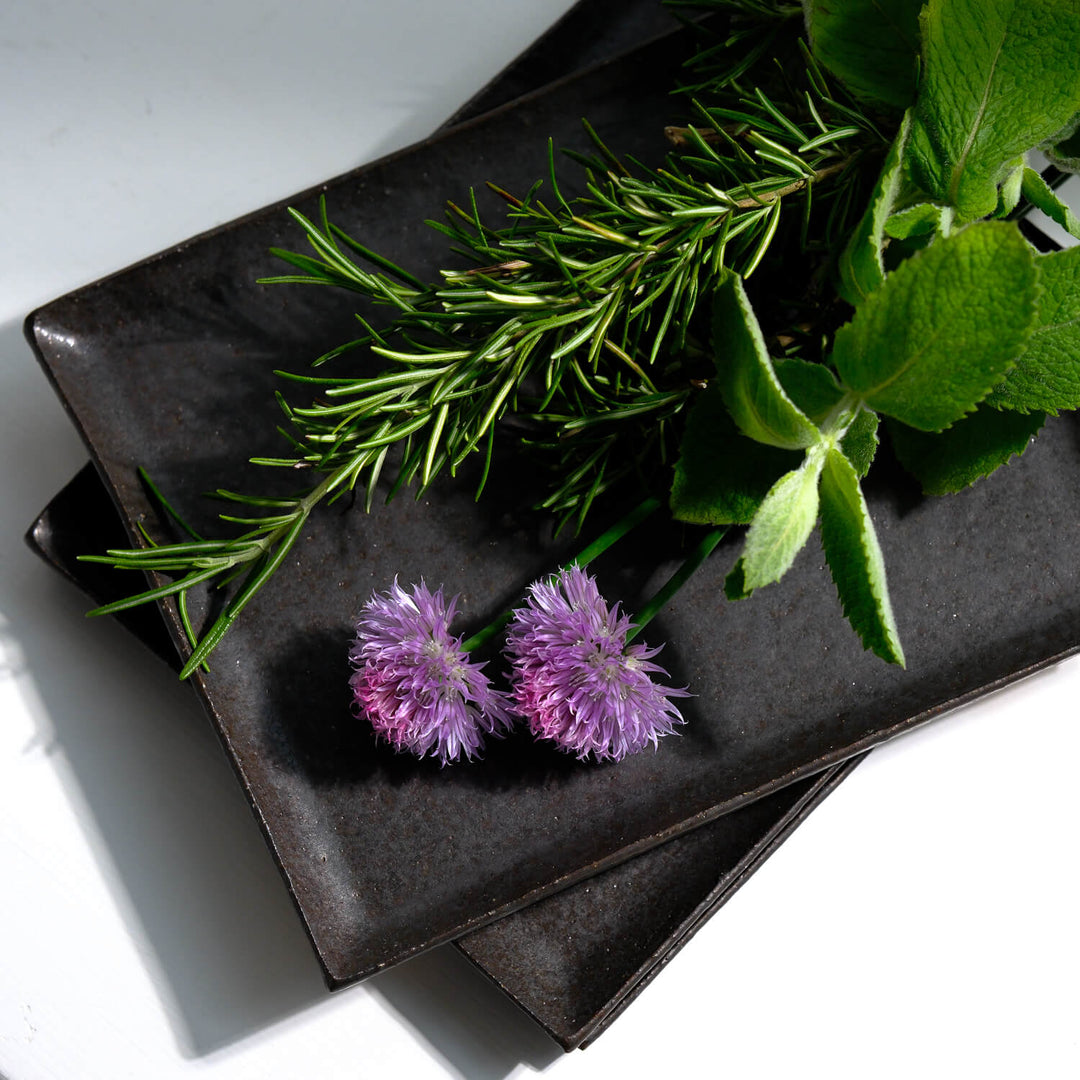 Wakahiko Ishikawa, Platte, japanische Keramik aus Mashiko, schwarz (WI02)